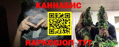 крисы Севастополь