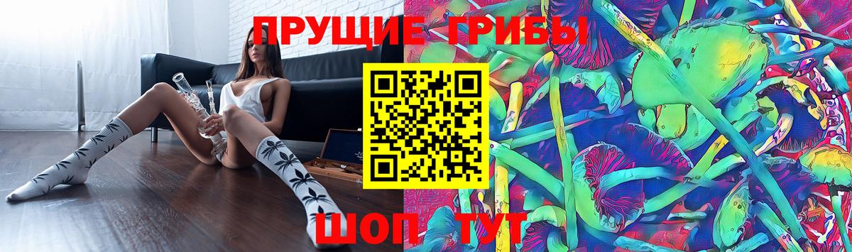 Псилоцибиновые грибы мицелий Обь